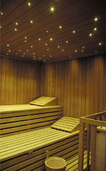 sauna asiagoneve business