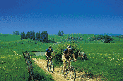 Mountain Bike