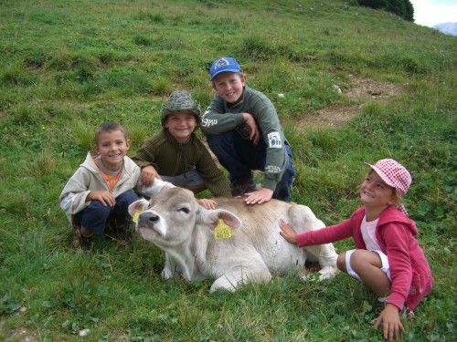 mucca e bambini