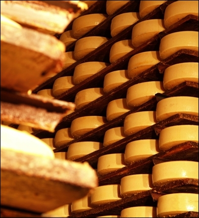 Formaggio Asiago Visita al centro stagionatura formaggio Asiago