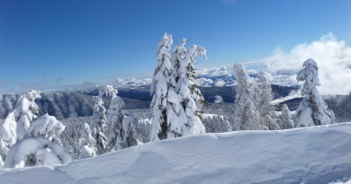 Vacanza di Pasqua sulla neve da euro 315