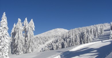 Natale 2014 sulla neve con proposta ski inclusive