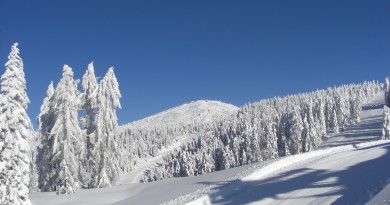 Natale 2014 sulla neve con proposta ski inclusive Natale 2014 sulla neve con proposta ski inclusive