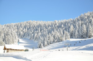 Piste da Sci Verena