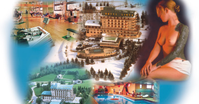 Settimana bianca Natale hotel 4 stelle con SPA inclusa Settimana bianca Natale hotel 4 stelle con SPA inclusa