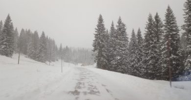 È arrivata la neve! Altopiano di Asiago imbiancato È arrivata la neve! Altopiano di Asiago imbiancato