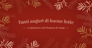 Buon Natale dai Maestri di Sci Buon Natale dai Maestri di Sci