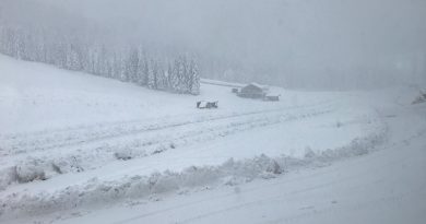 8 NOVEMBRE 2019 ASIAGO NEVICA 8 NOVEMBRE 2019 ASIAGO NEVICA